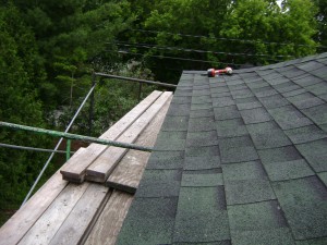 new-shingles