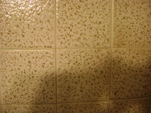 tiles improvinghomevalue