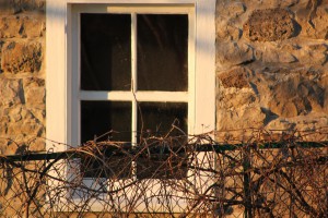 improving home value windows