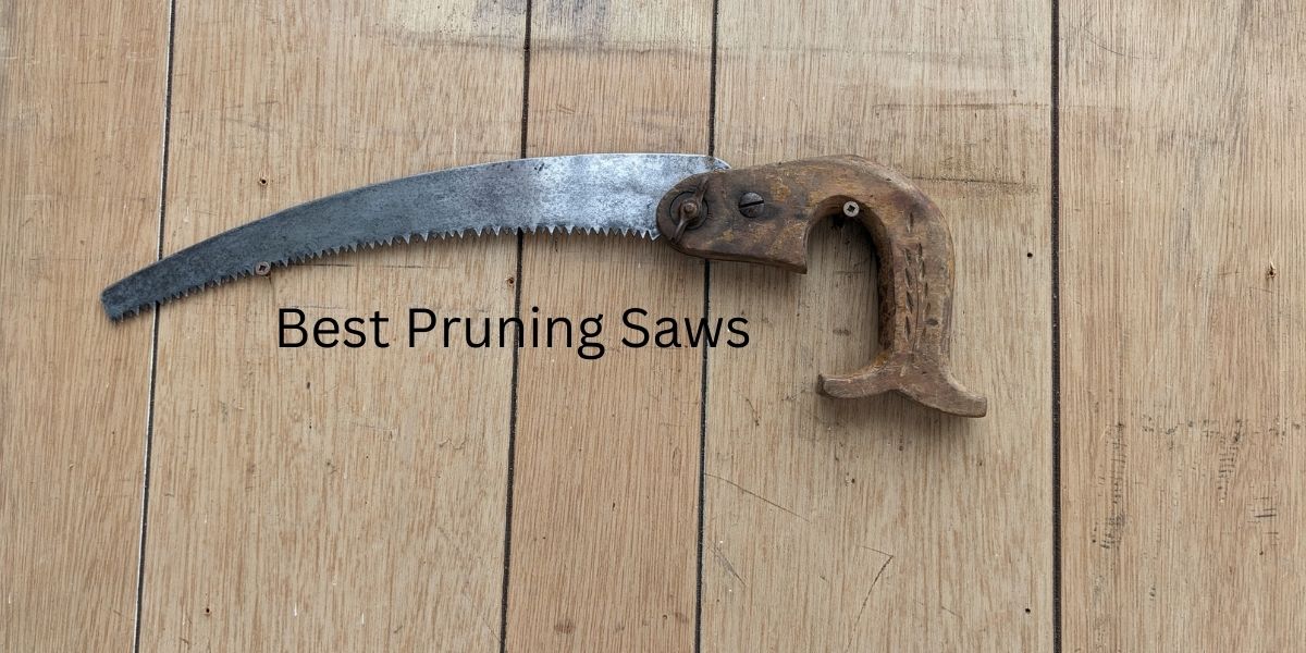 Best Pruning Saws