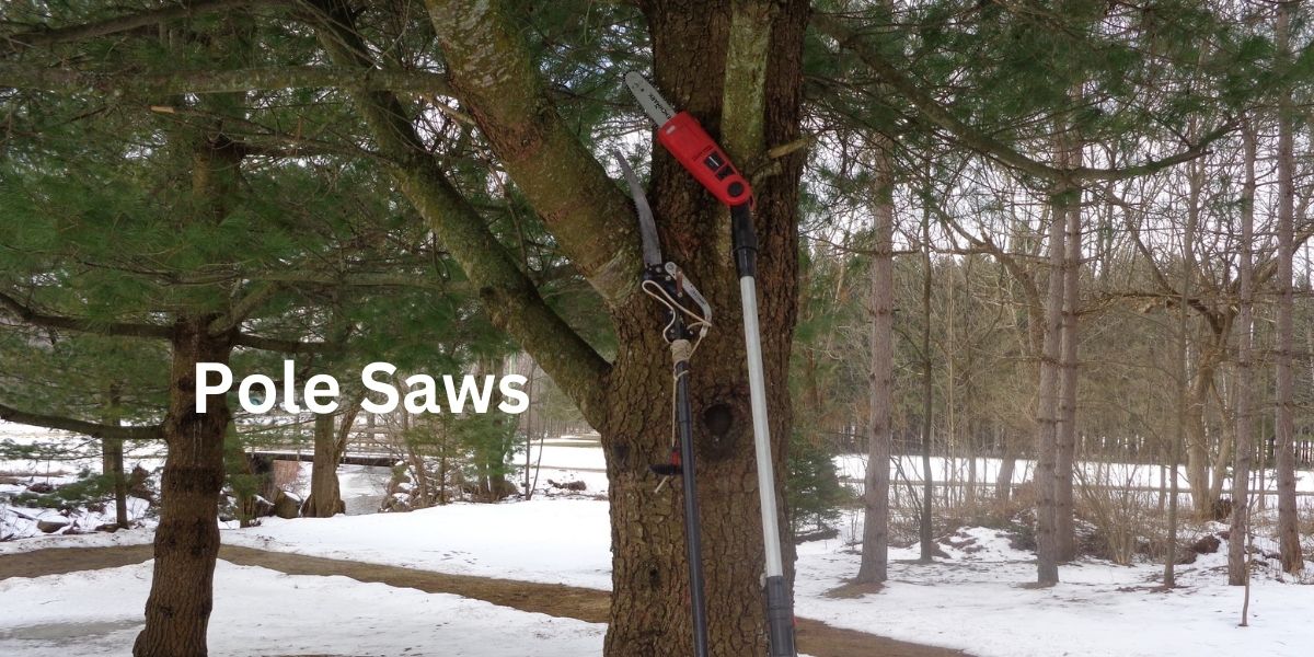 Pole Saws for Better Tree Trimming