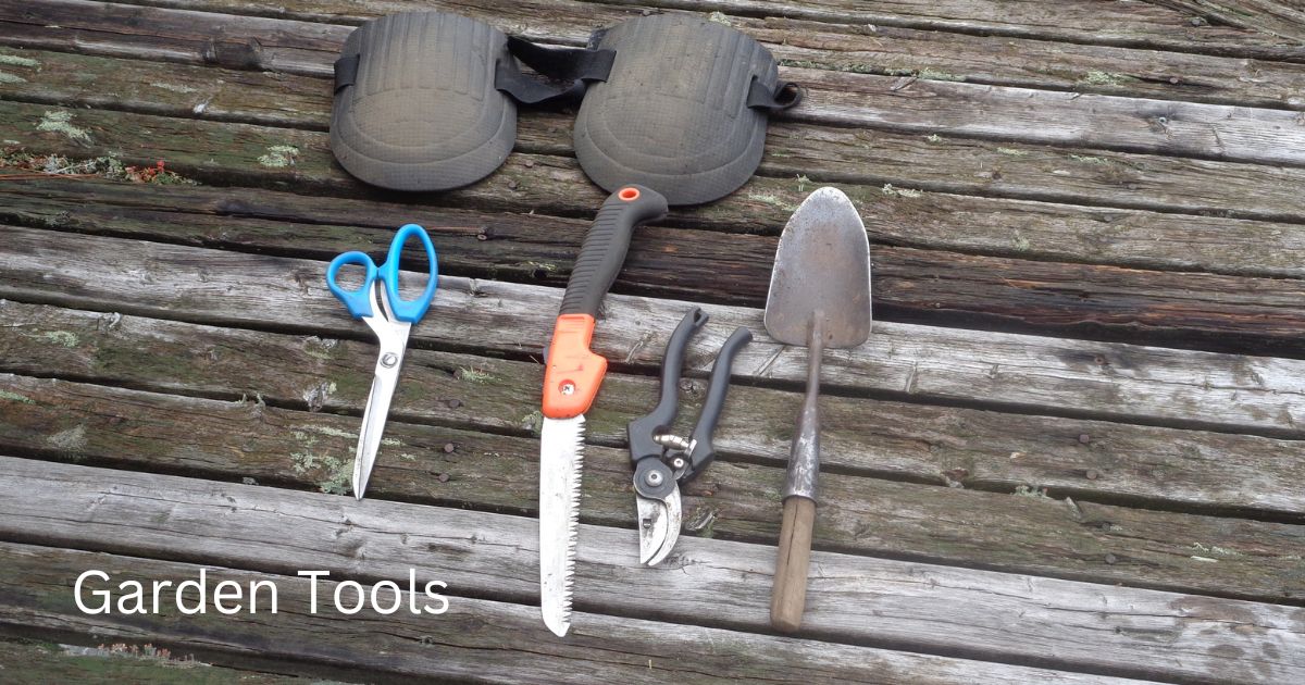 Essential Tools For Small Veggie Gardens